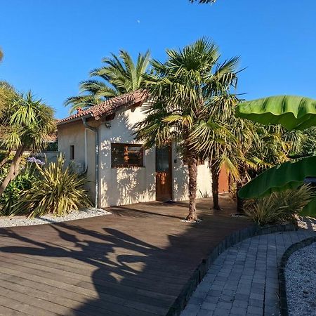 Guest House Au Milieu Des Palmiers Saint-Martin-de-Seignanx Exterior foto